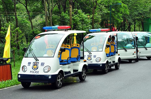 Kleiner elektrischer Streifenwagen für die Polizei, gerne individuell anpassbar