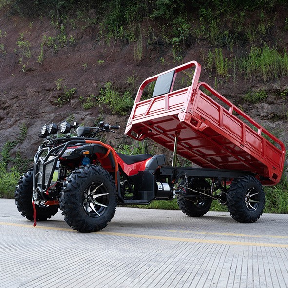 UTV All-Terrain-Geländewagen UTV